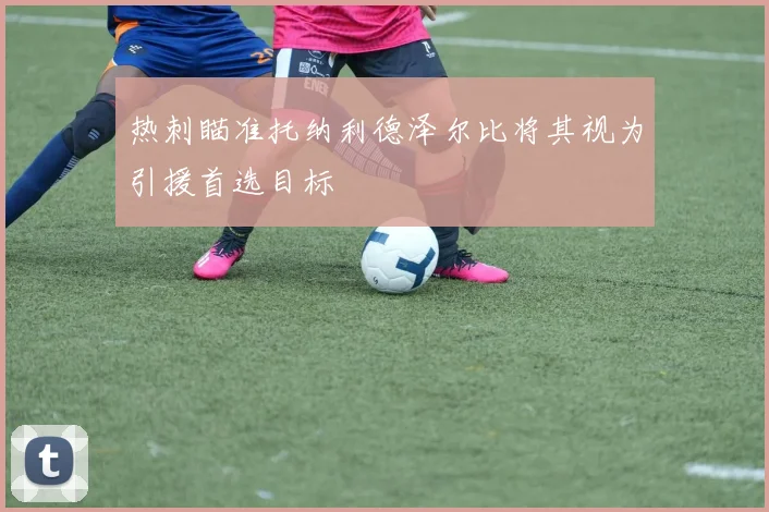 热刺瞄准托纳利德泽尔比将其视为引援首选目标