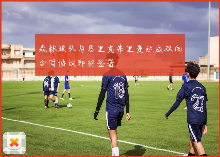 森林狼队与恩里克弗里曼达成双向合同协议即将签署