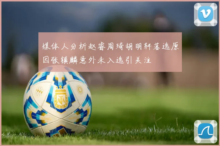 媒体人分析赵睿周琦胡明轩落选原因张镇麟意外未入选引关注