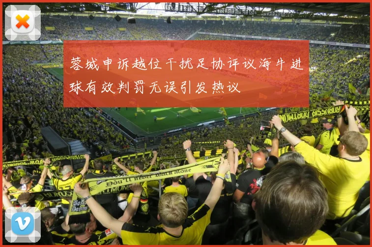 蓉城申诉越位干扰足协评议海牛进球有效判罚无误引发热议